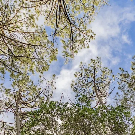 Villa 5ch Au Calme Dans Le Domaine Du Golf *